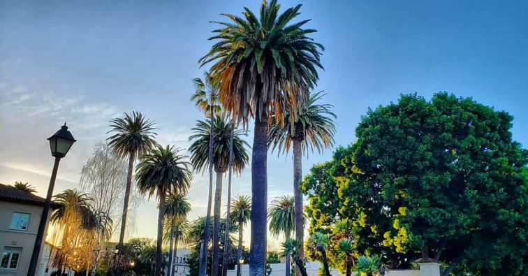 91292018_10216208869646402_6098476822968664064_o